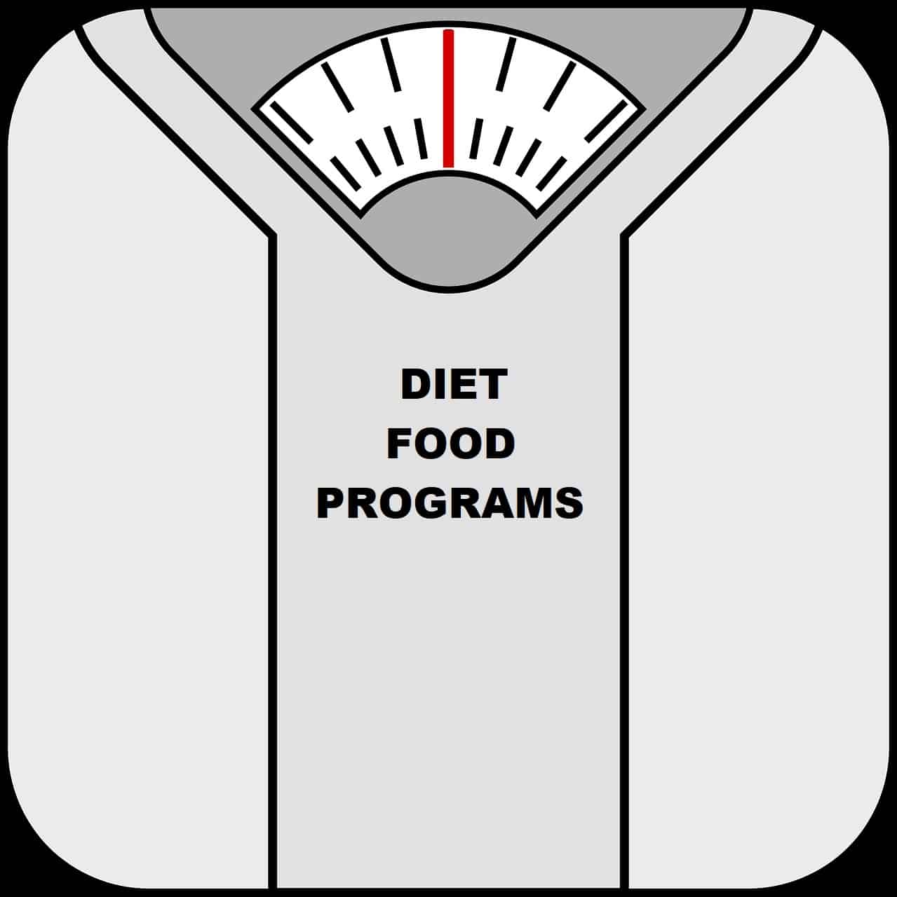 diet food programs scale
